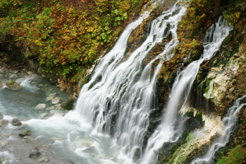 f0046128_21474932.jpg