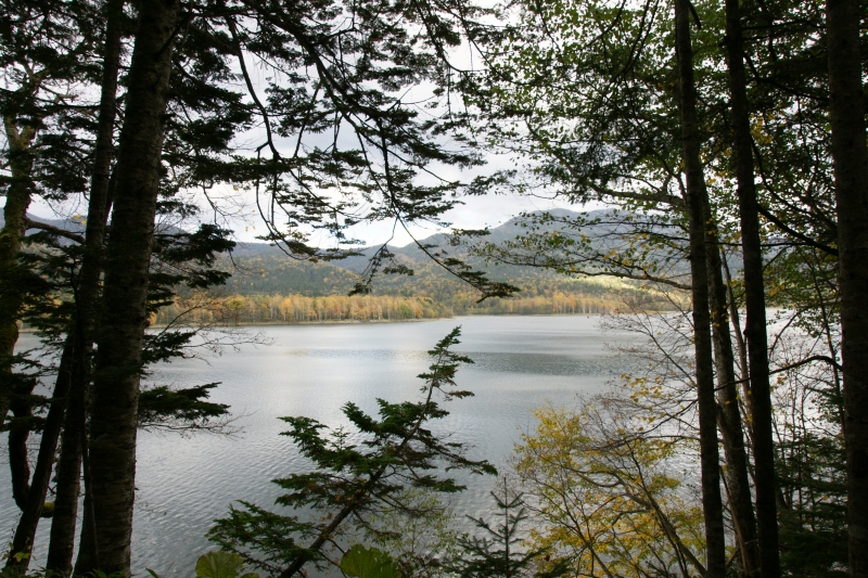 f0046128_9255142.jpg