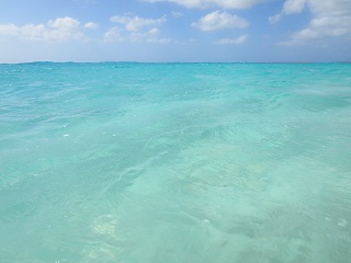 c0051529_20554363.jpg
