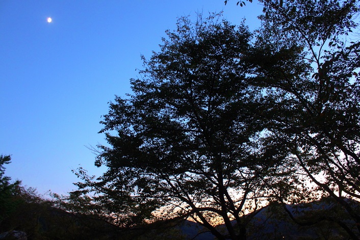 f0231829_23422953.jpg