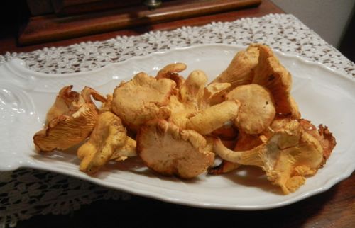 c0177332_22555021.jpg