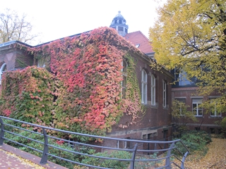 f0224632_171401.jpg