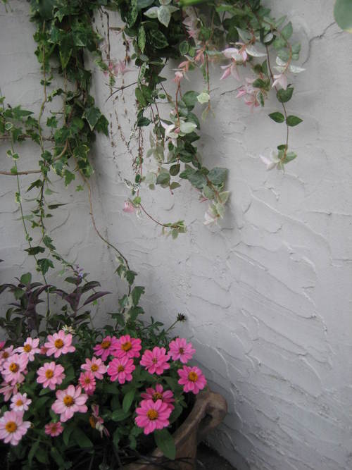 f0061334_21205228.jpg