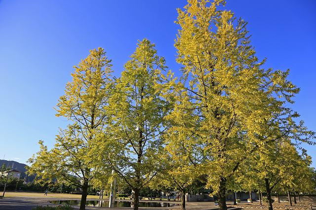 a0242438_21171953.jpg