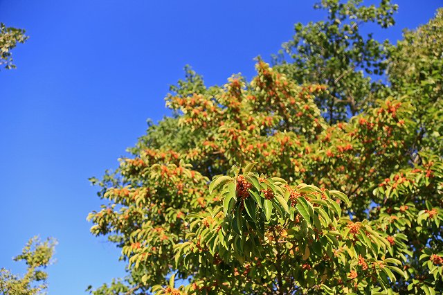 a0242438_2120037.jpg