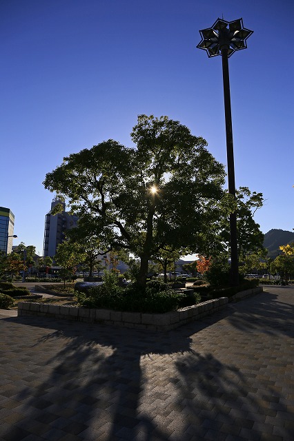 a0242438_21205630.jpg
