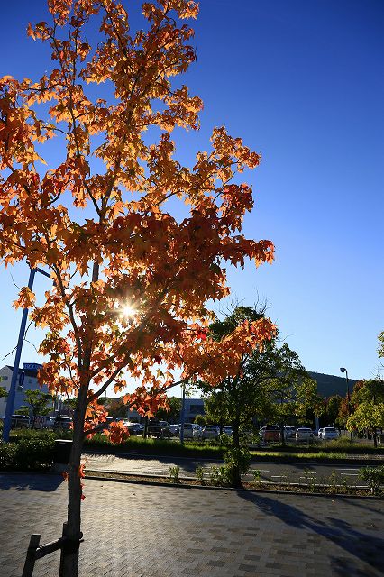 a0242438_21211520.jpg