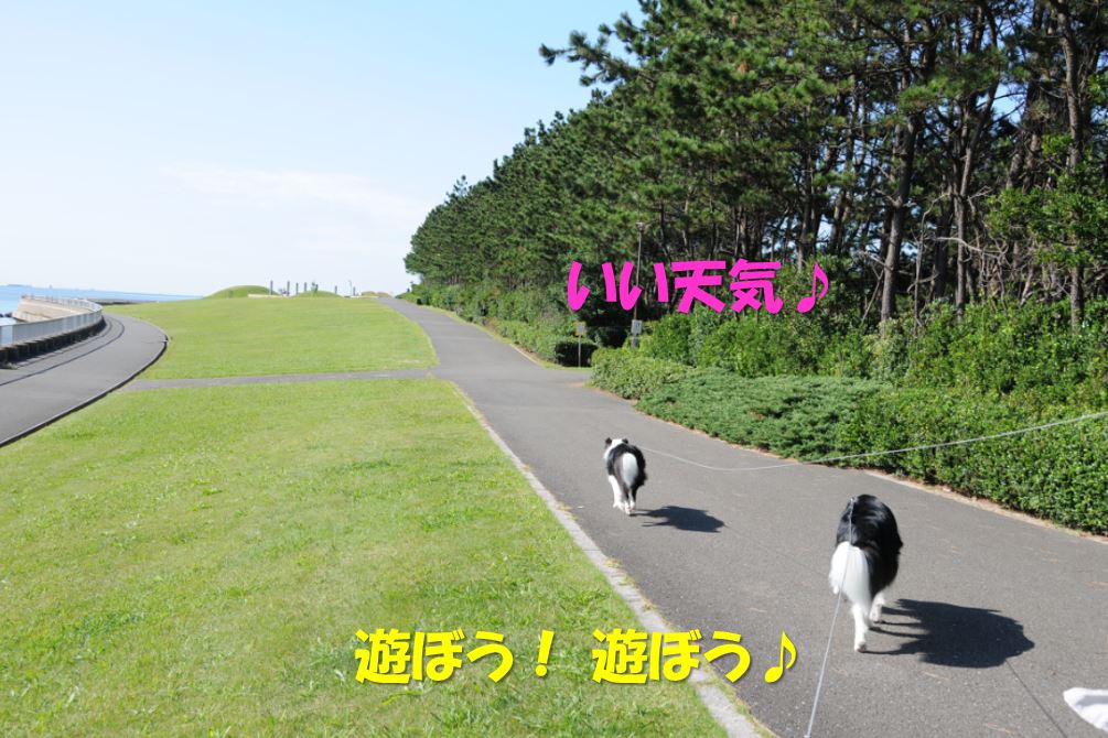 c0147241_15544450.jpg