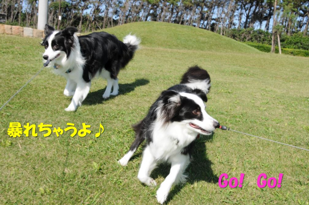 c0147241_1555659.jpg