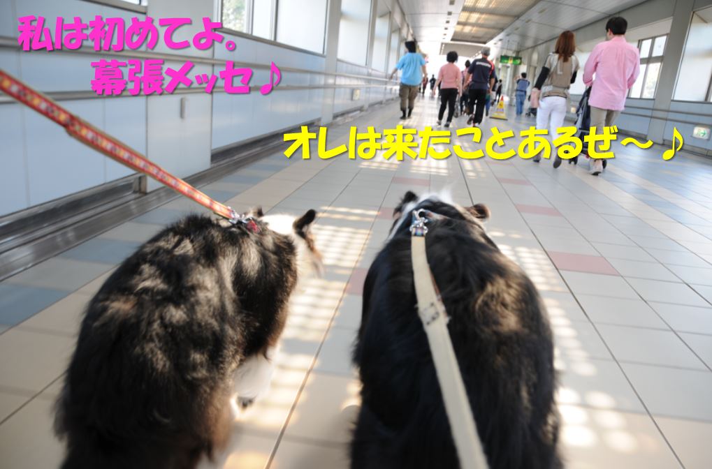 c0147241_15561962.jpg