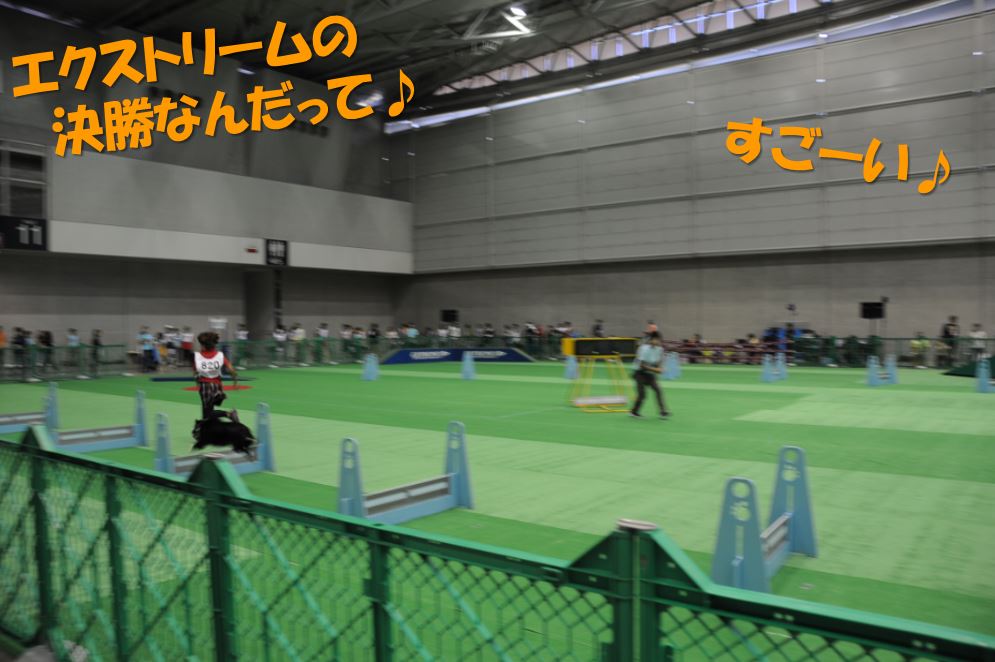c0147241_15563689.jpg