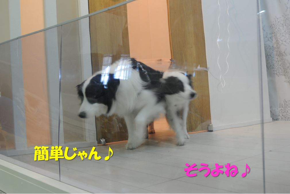 c0147241_15573686.jpg