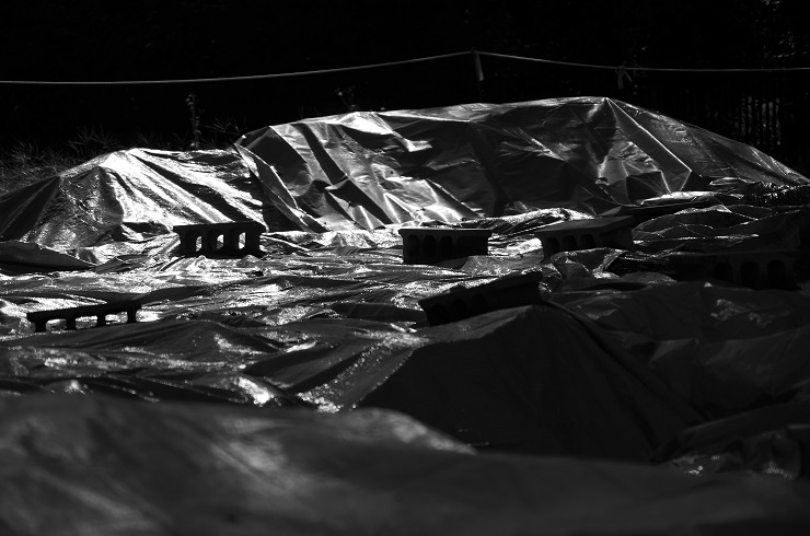 d0165741_15525237.jpg
