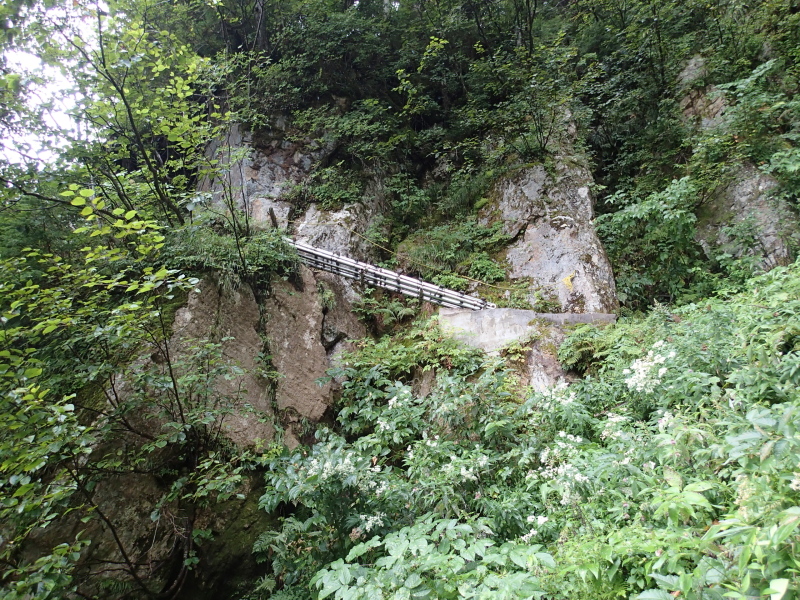 b0190242_11412345.jpg
