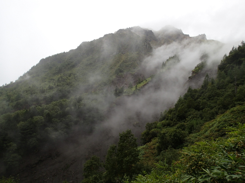 b0190242_1143392.jpg