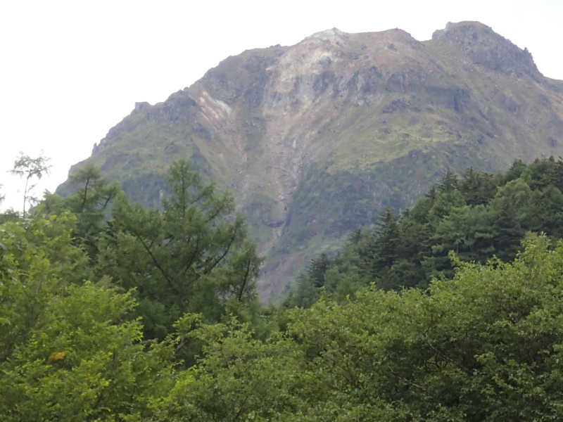 b0190242_12143523.jpg