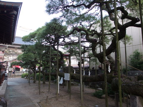b0199742_12535677.jpg