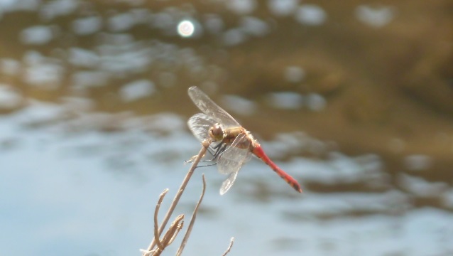 d0288144_174243100.jpg