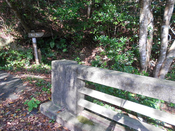 a0206345_1614161.jpg