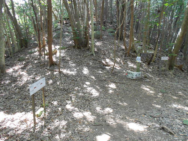 a0206345_1649030.jpg