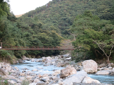 e0020945_10394378.jpg