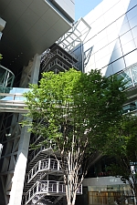 e0080345_1524393.jpg