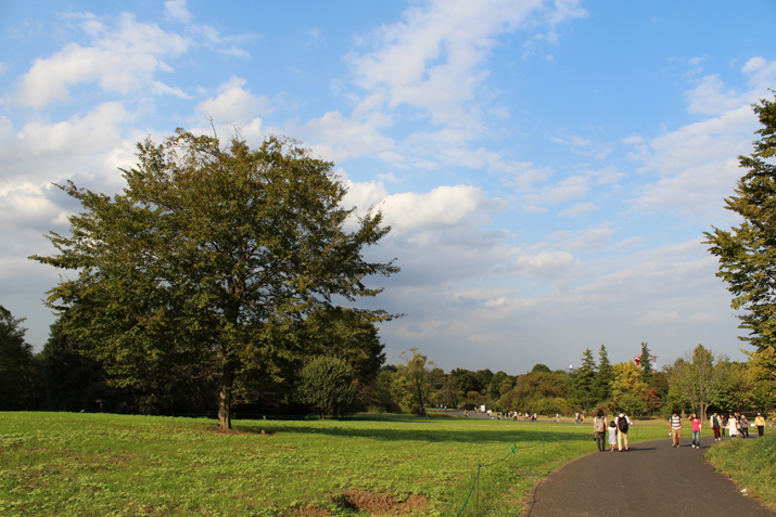 a0307547_2313488.jpg