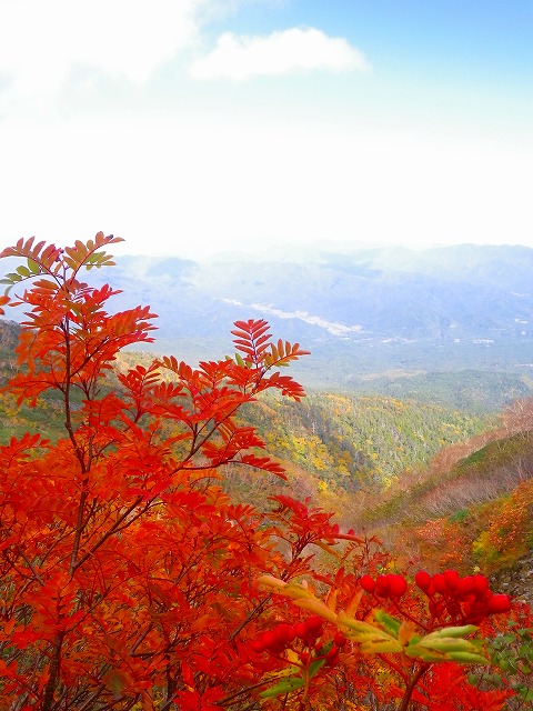 b0175351_23173238.jpg
