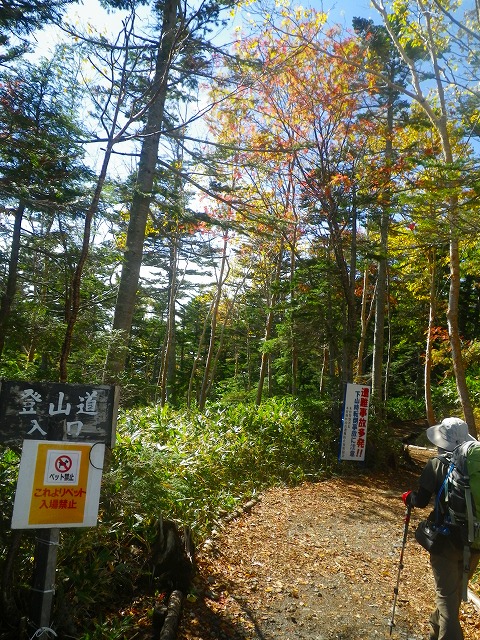 b0175351_23213242.jpg