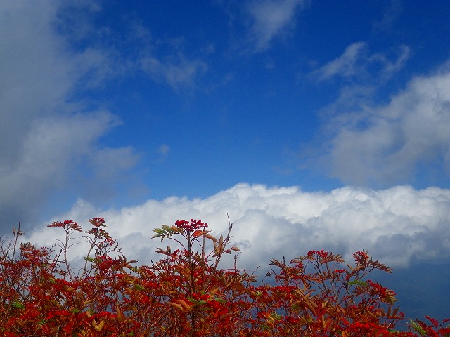 b0175351_23362638.jpg