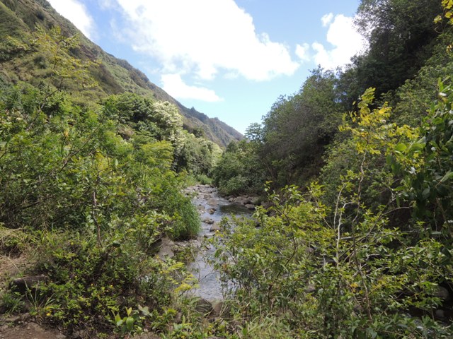 b0173754_14472245.jpg