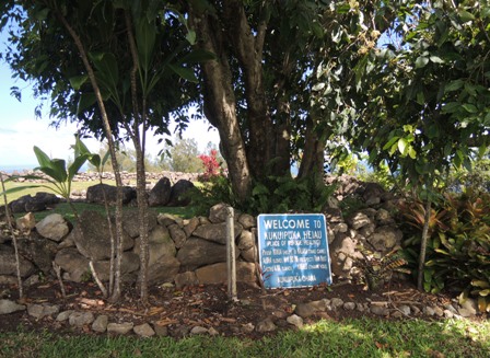 b0173754_14492026.jpg
