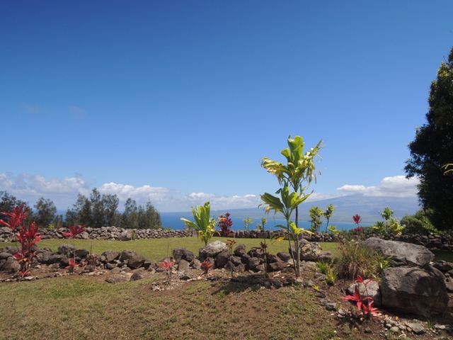 b0173754_1450870.jpg