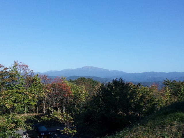 b0177355_1775170.jpg