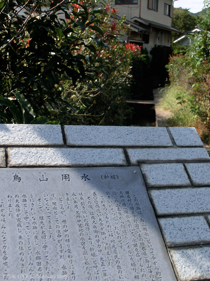 d0100156_22452926.jpg