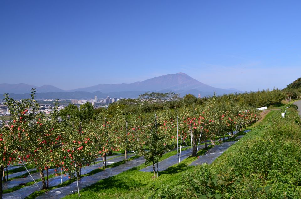 d0283357_16421140.jpg