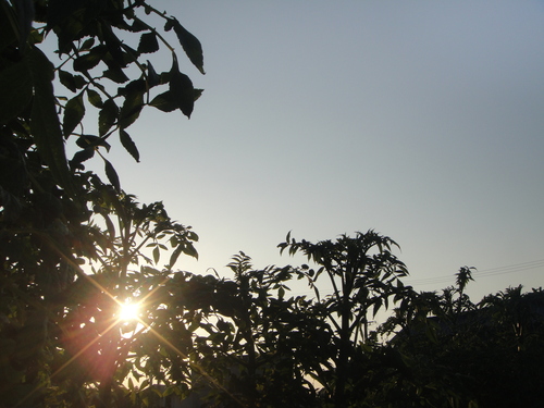 c0108460_19442012.jpg