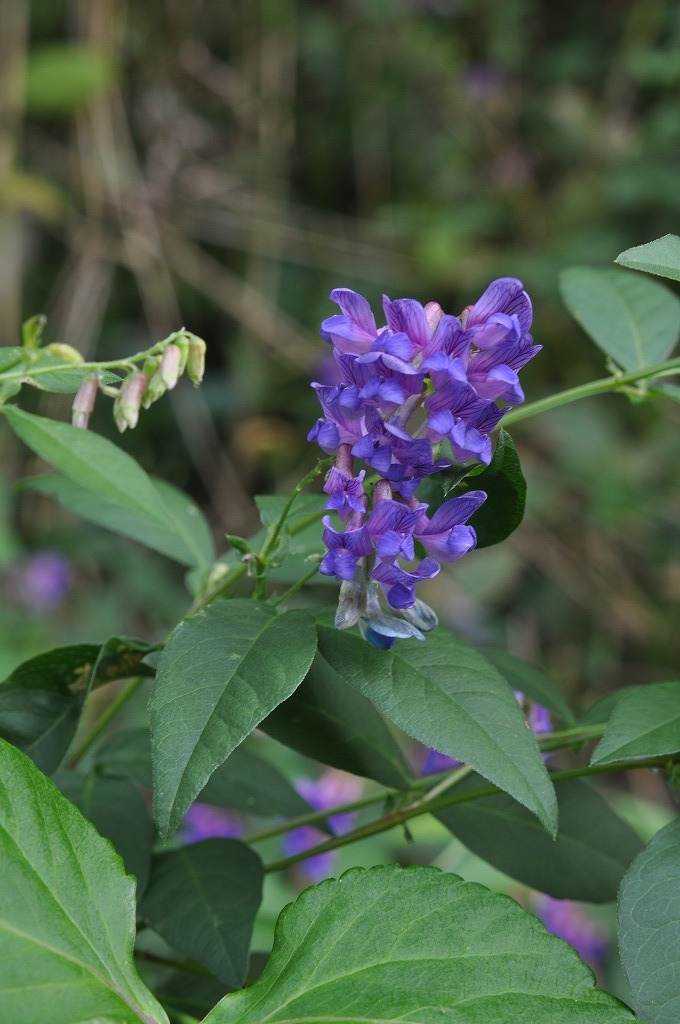 b0104861_20338.jpg