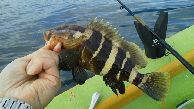 f0224363_1723422.jpg