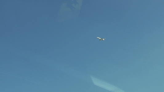 c0076764_1353812.jpg