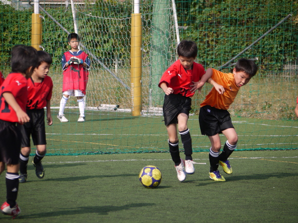 c0185364_1743742.jpg