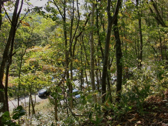 d0010065_2110392.jpg