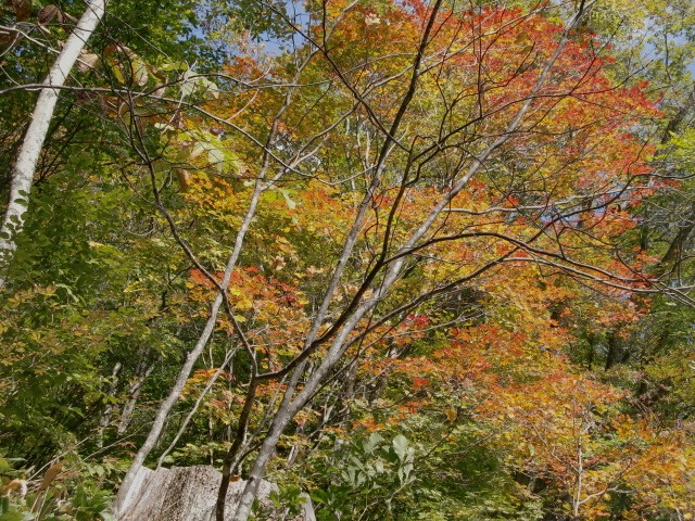 d0010065_21105528.jpg