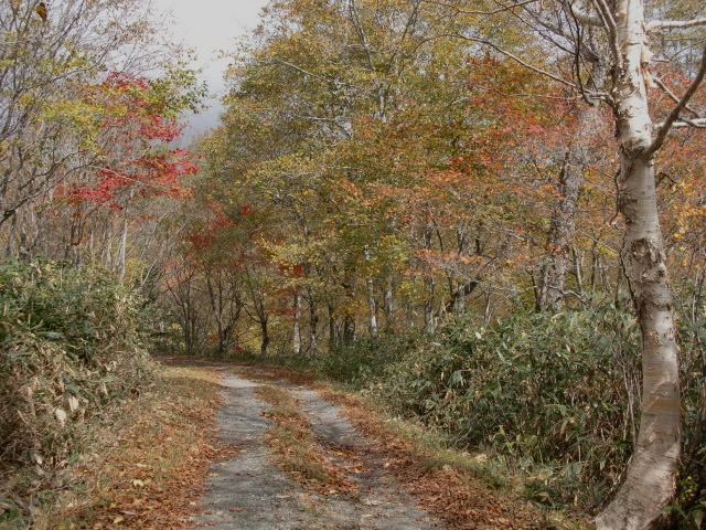 d0010065_21113422.jpg