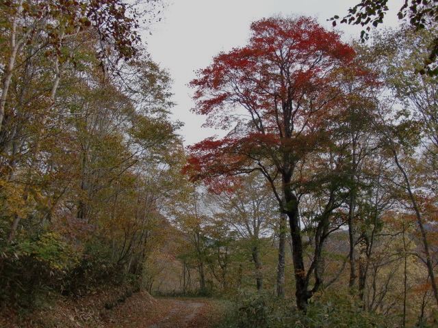 d0010065_21114440.jpg
