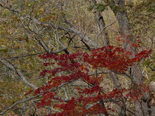 d0010065_2111850.jpg