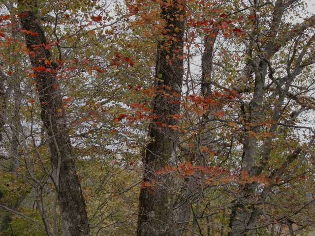 d0010065_2112153.jpg