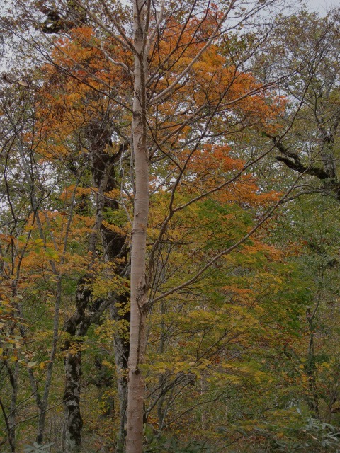 d0010065_2112480.jpg