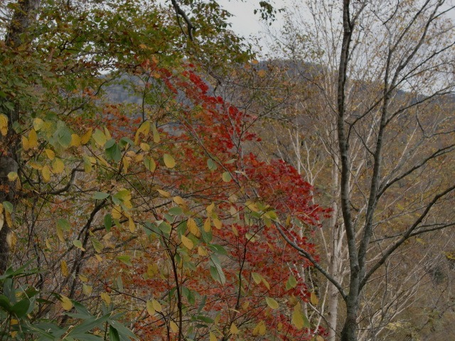 d0010065_21131529.jpg