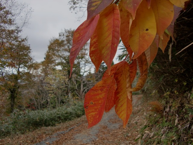 d0010065_21133351.jpg